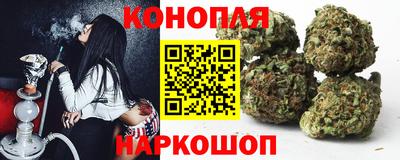 стафф Дубна