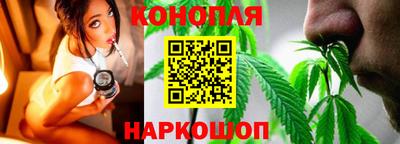 стафф Дубна
