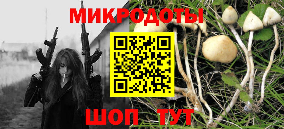Псилоцибиновые грибы ЛСД Майкоп