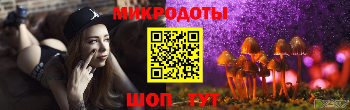 Псилоцибиновые грибы Cubensis  Вход с VPN  Майкоп  дарнет шоп  Псилоцибиновые грибы Psilocybe 